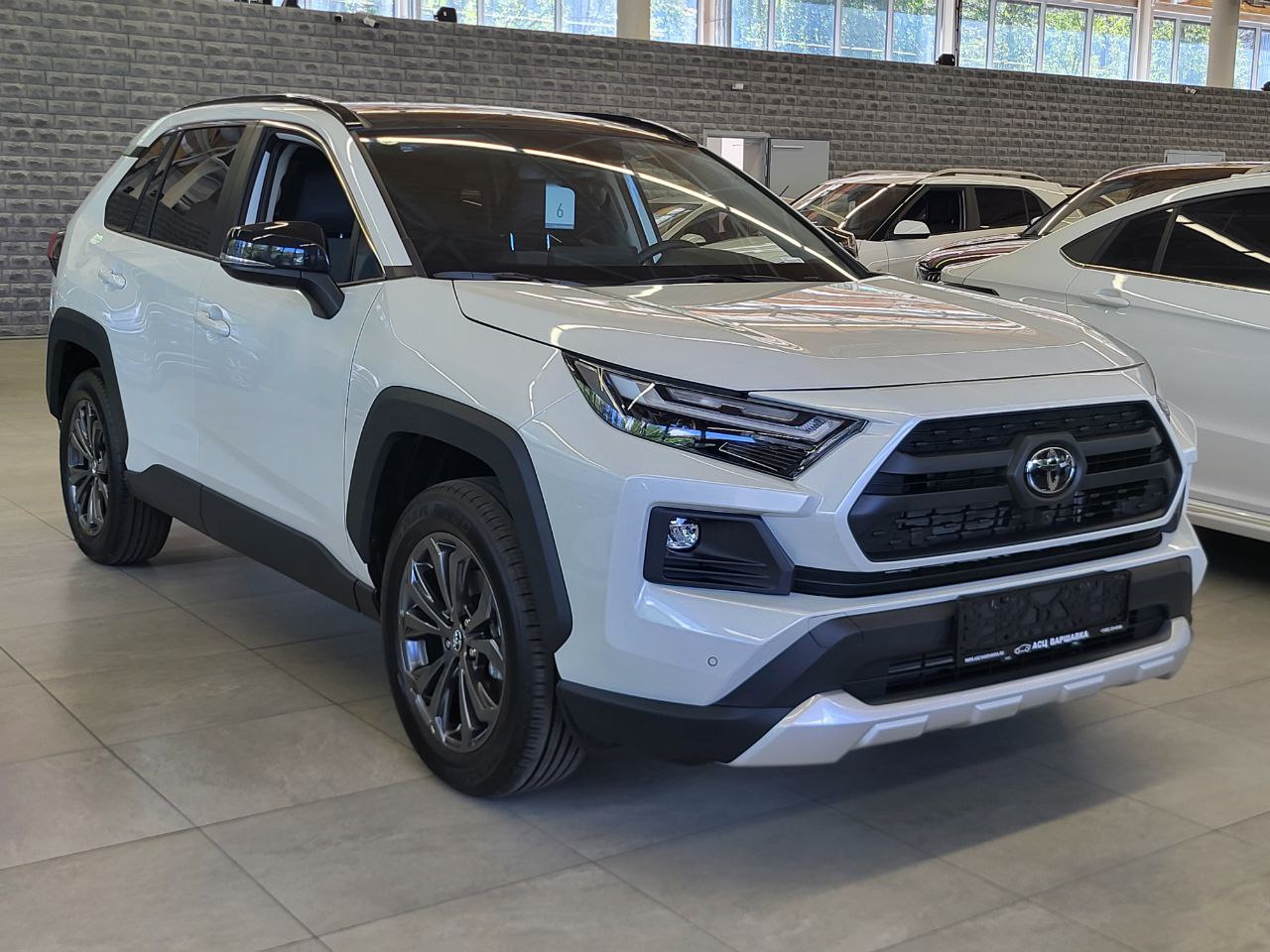 Спецпредложение